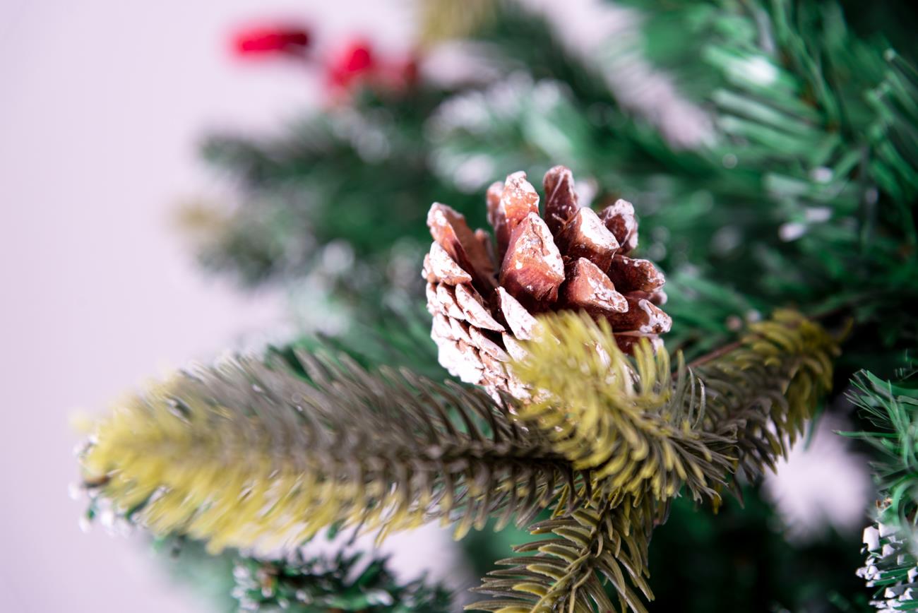 6ft Stockholm Pine Christmas Tree