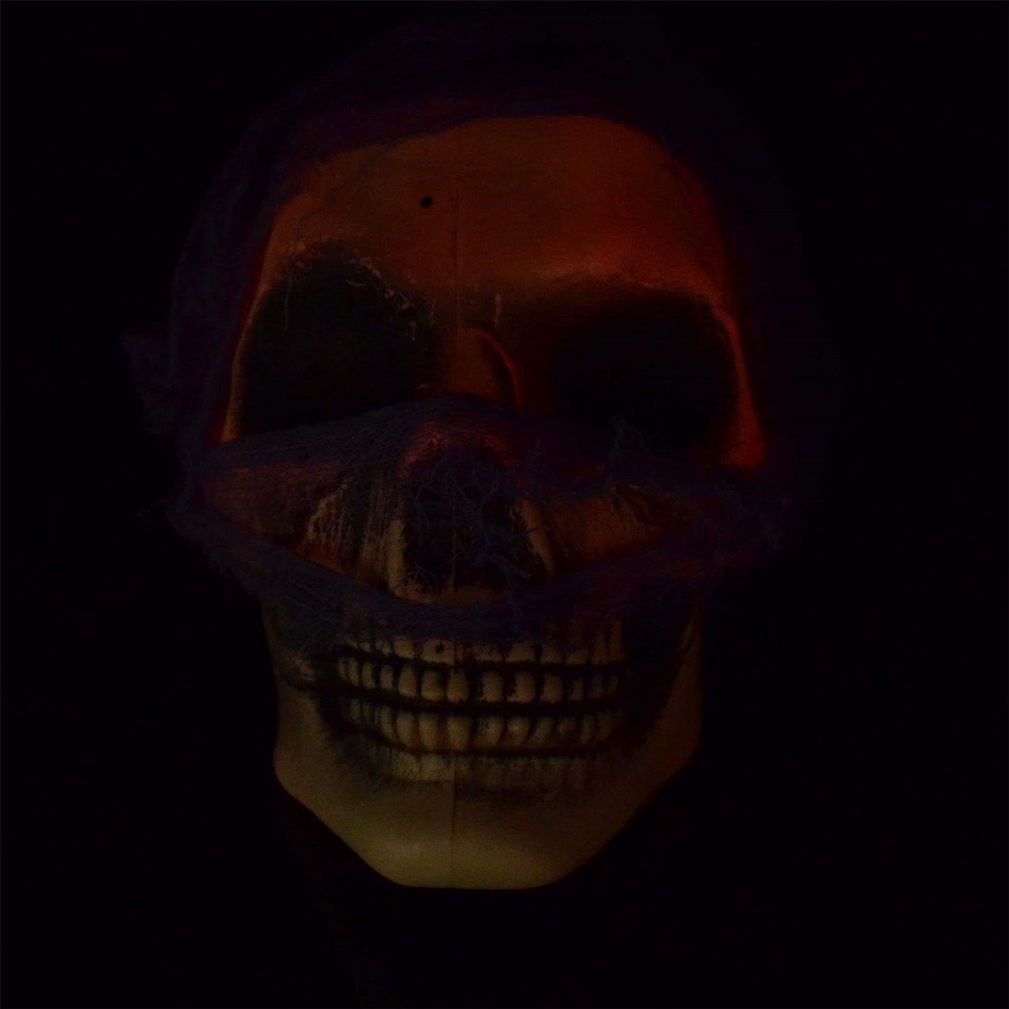 Halloween Hanging Skull D�cor