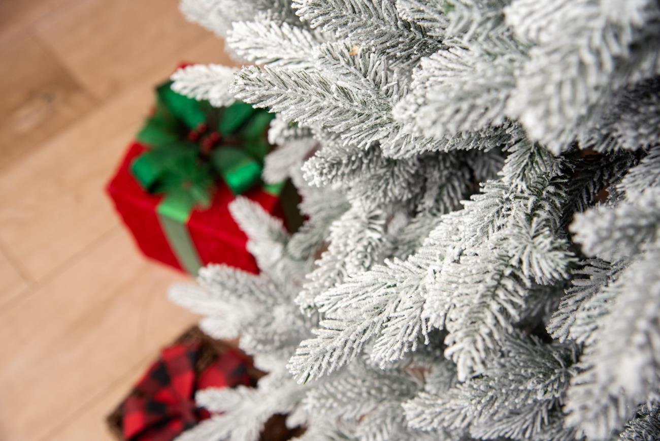 7ft Plain Oregon Pine Christmas Tree