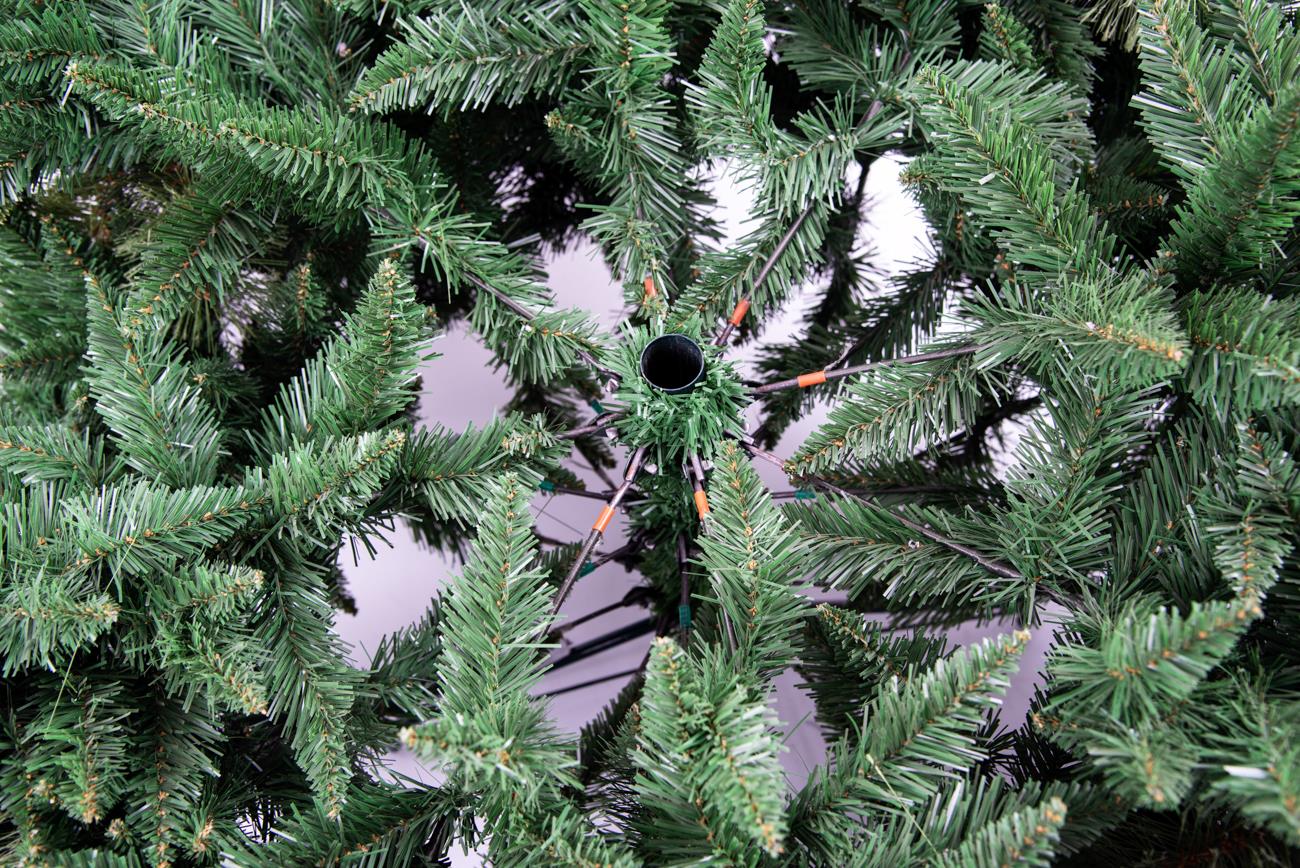 6ft Californian Boulder Pine Christmas Tree, 180cm