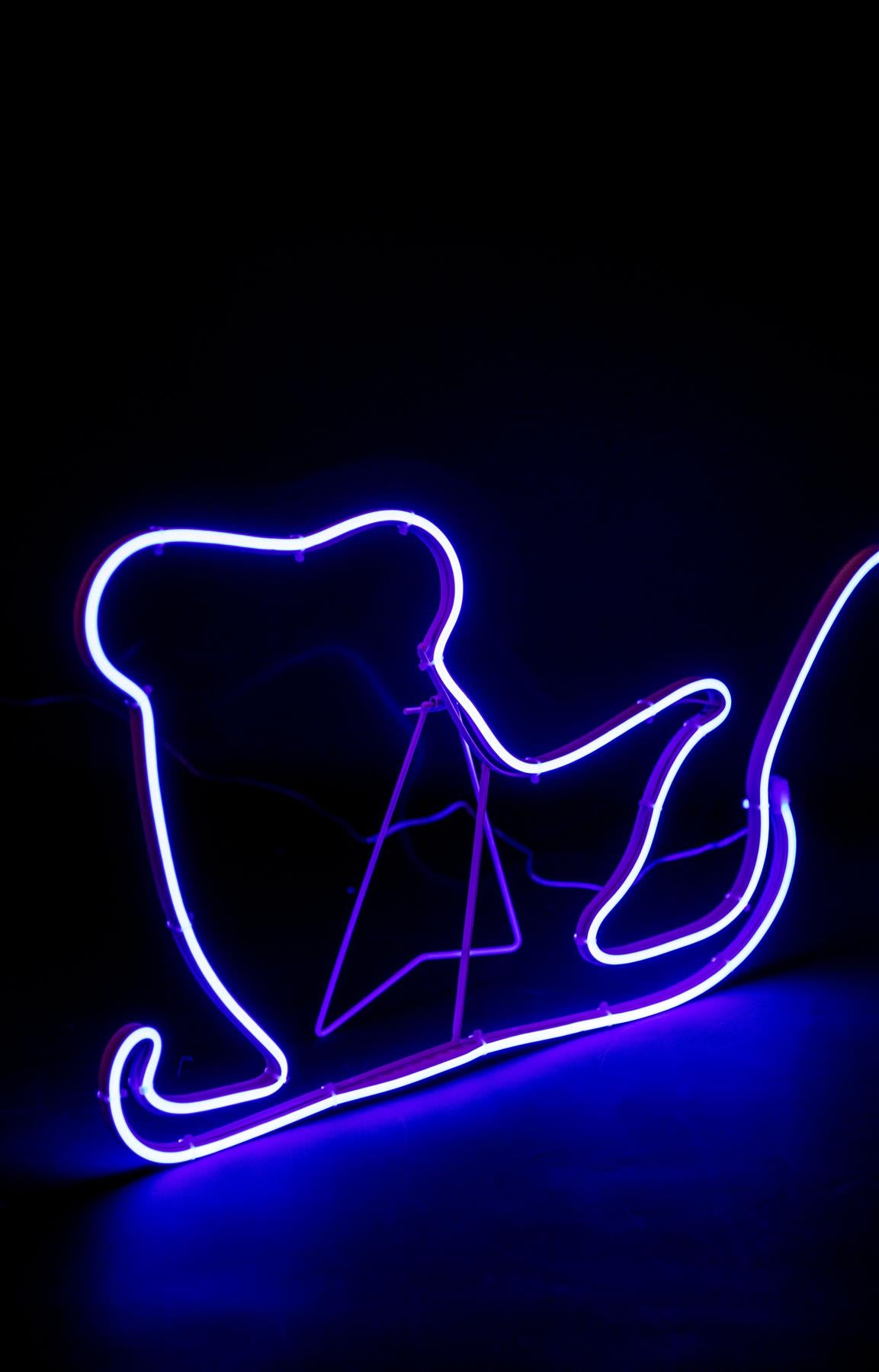 Reindeer 30x40cm & Sleigh 30x45cm Rope Light Silhouette Blue