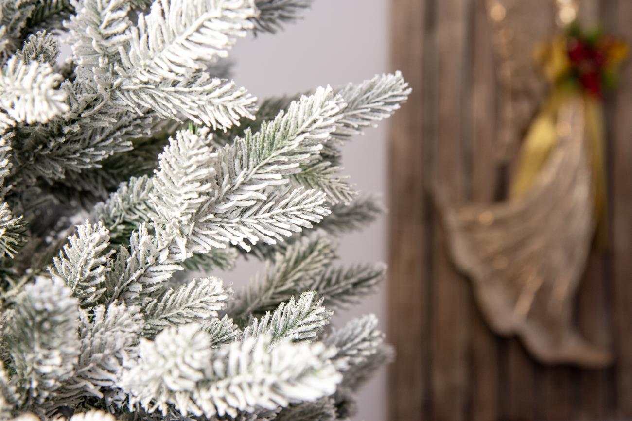 7ft Plain Oregon Pine Christmas Tree