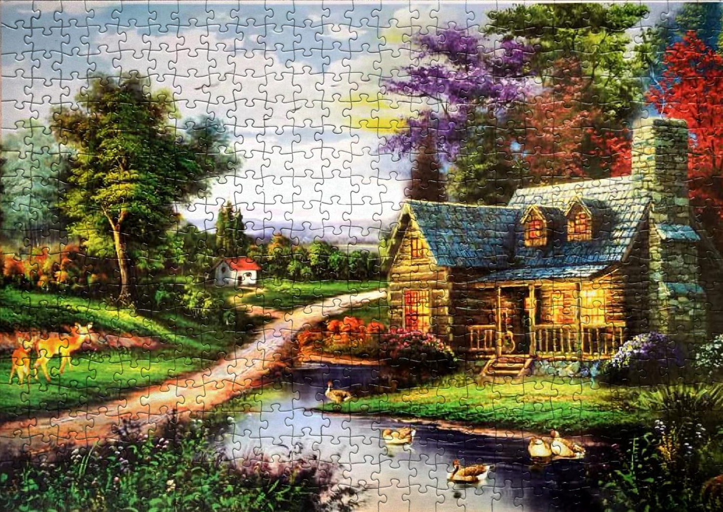 1000-Piece Jigsaw Puzzle