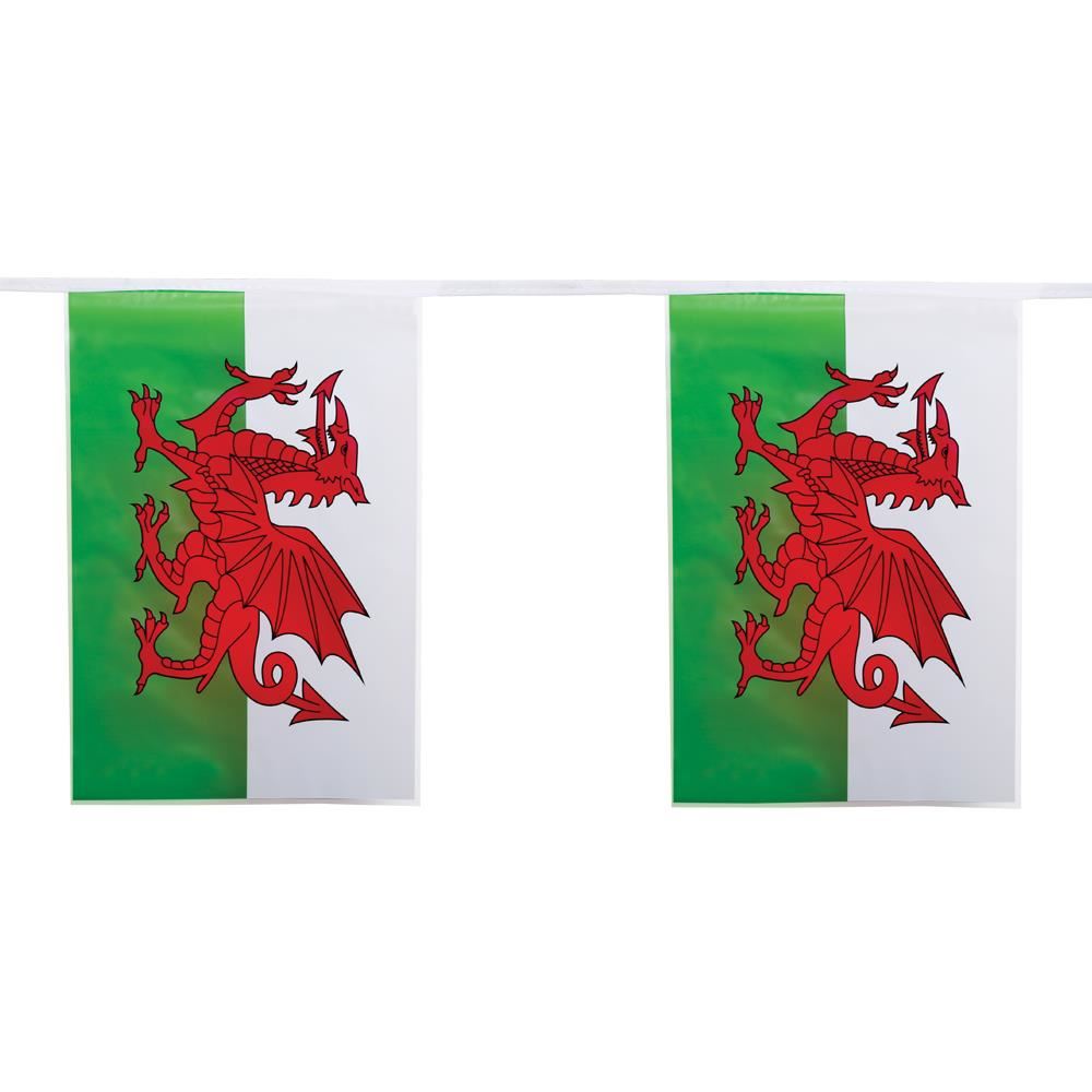 Welsh Bunting - 14x21cm, 3m with 10 Flags