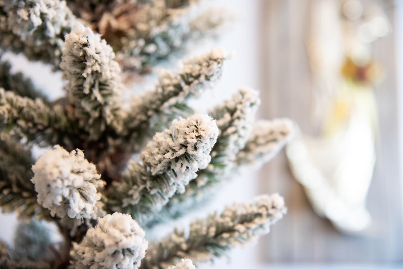 8ft Frosted Pencil Tree
