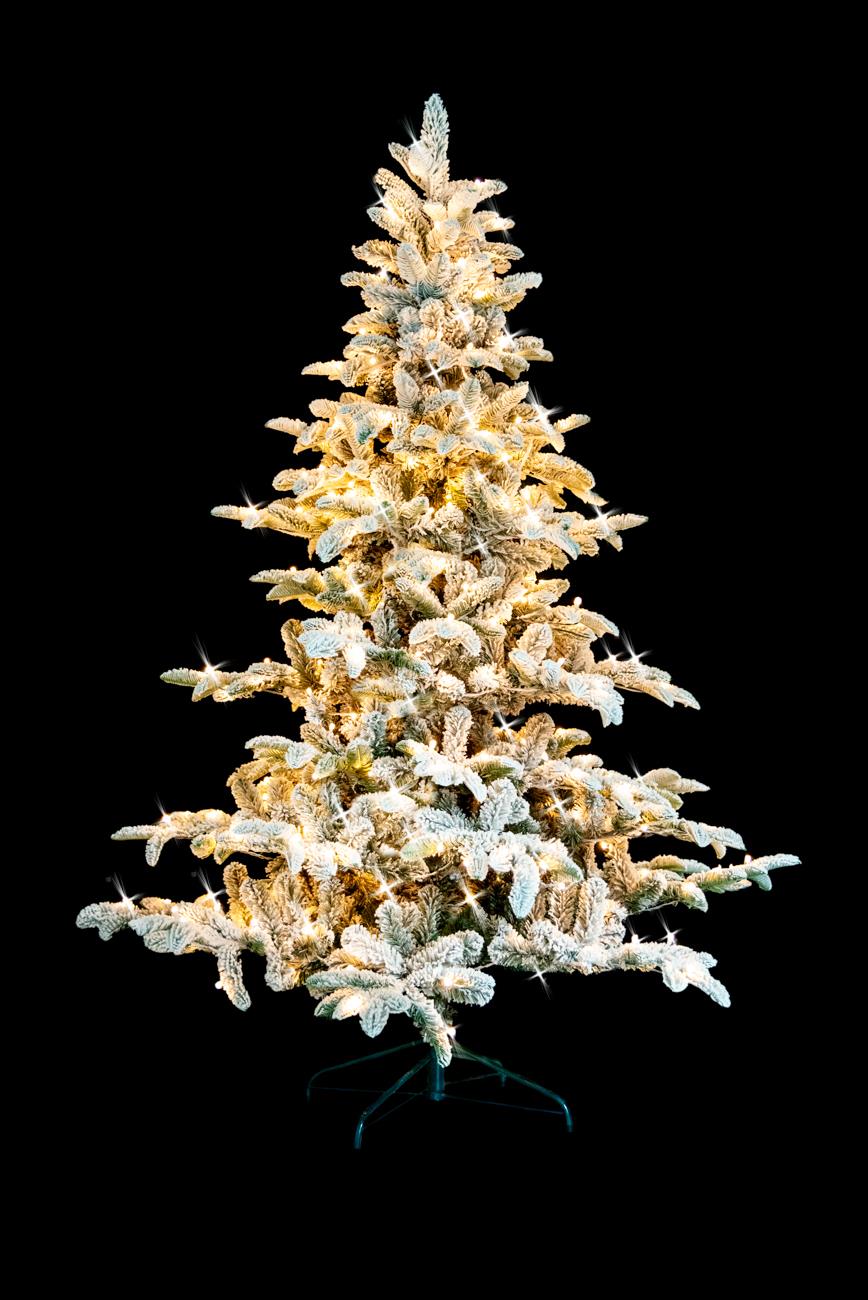 7ft Californian Pine Christmas Tree