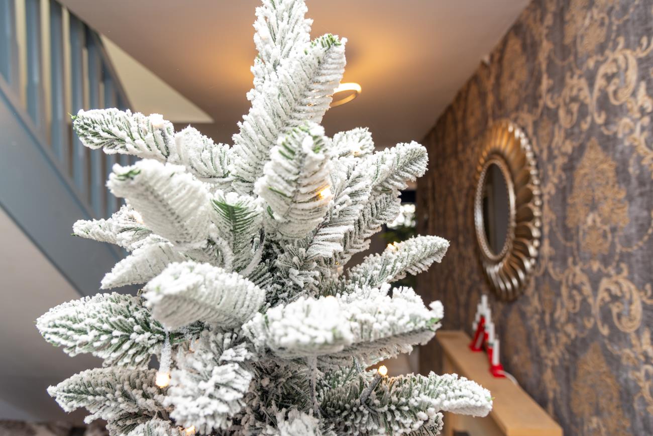 7ft Californian Pine Christmas Tree