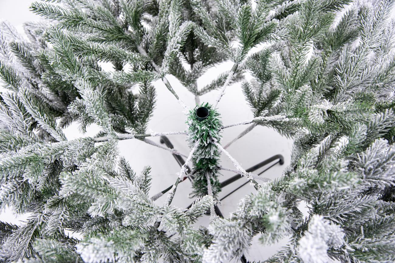 7ft Plain Oregon Pine Christmas Tree