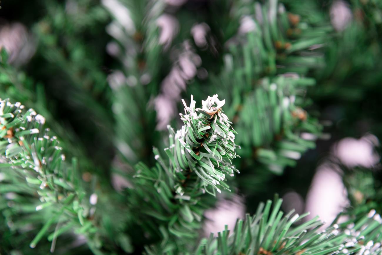 6ft Stockholm Pine Christmas Tree