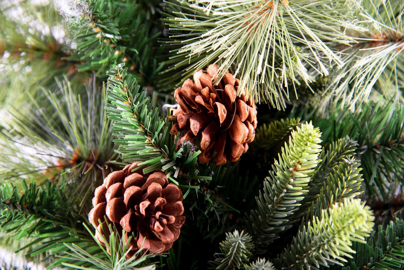 6ft Californian Boulder Pine Christmas Tree, 180cm