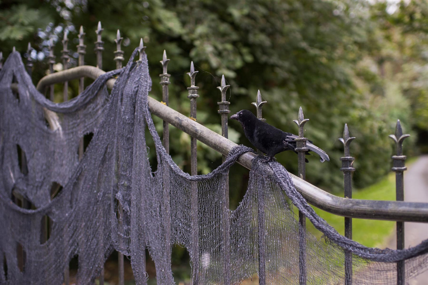 20 Halloween Creepy Cloths