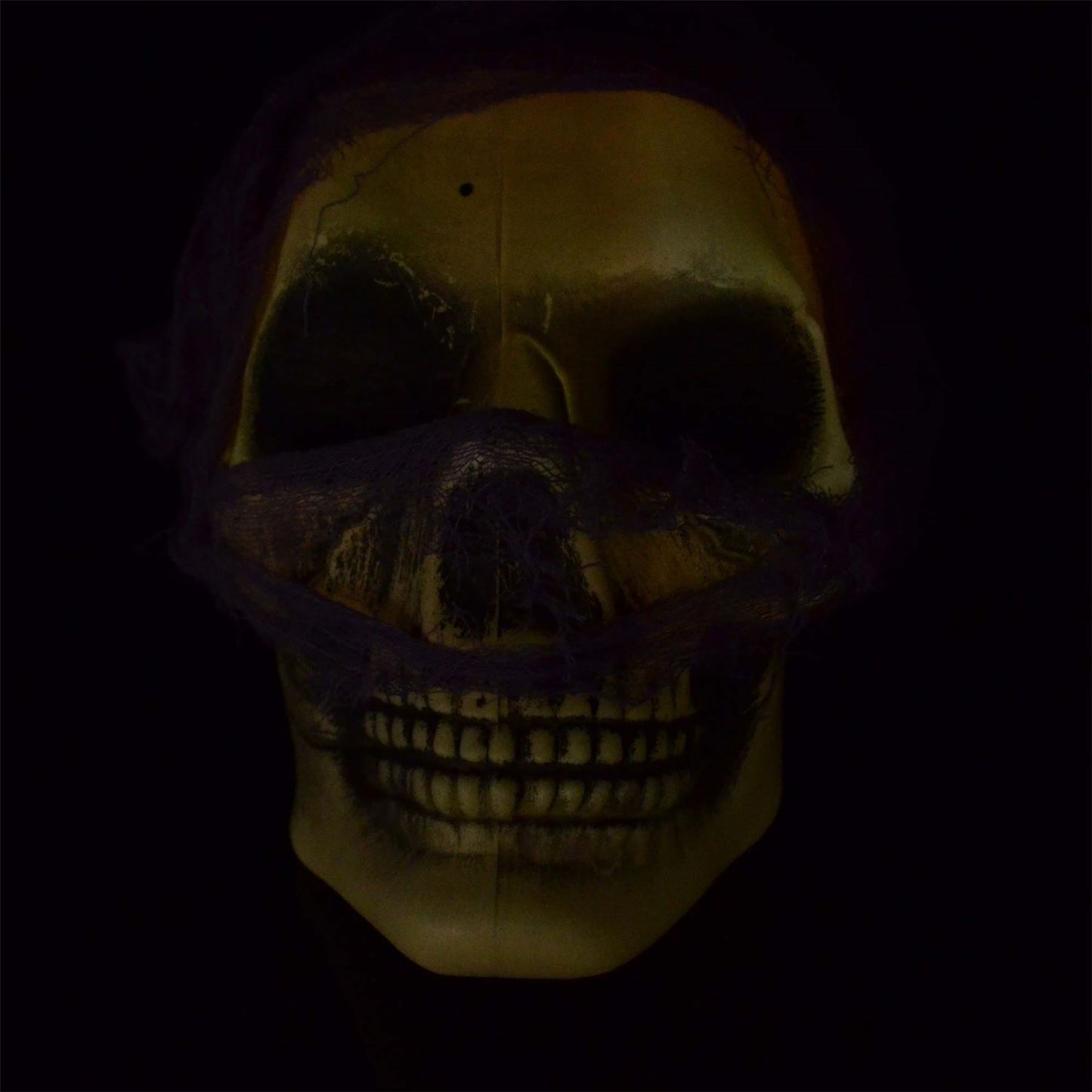 Halloween Hanging Skull D�cor
