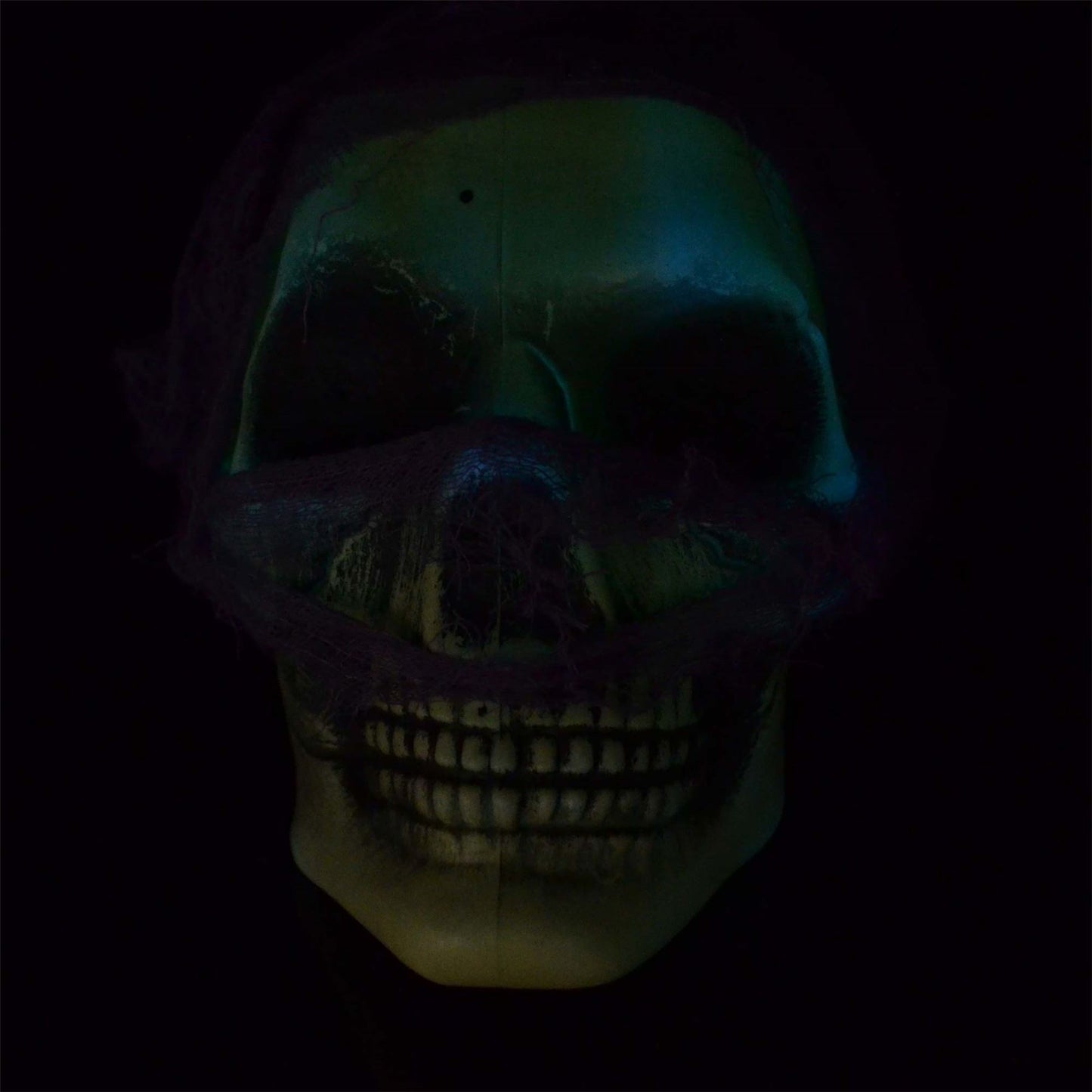 Halloween Hanging Skull D�cor