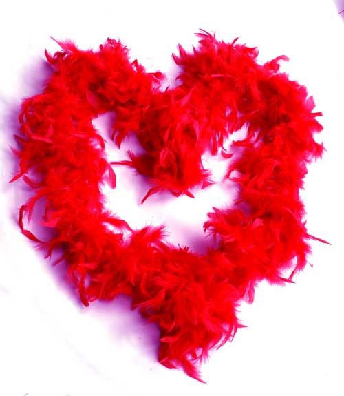 Red Feather Boa