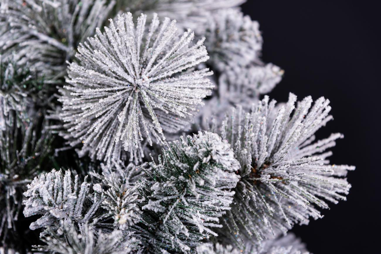 7ft White Snowy Tips Frosted Helsinki Fir Christmas Tree (210cm)