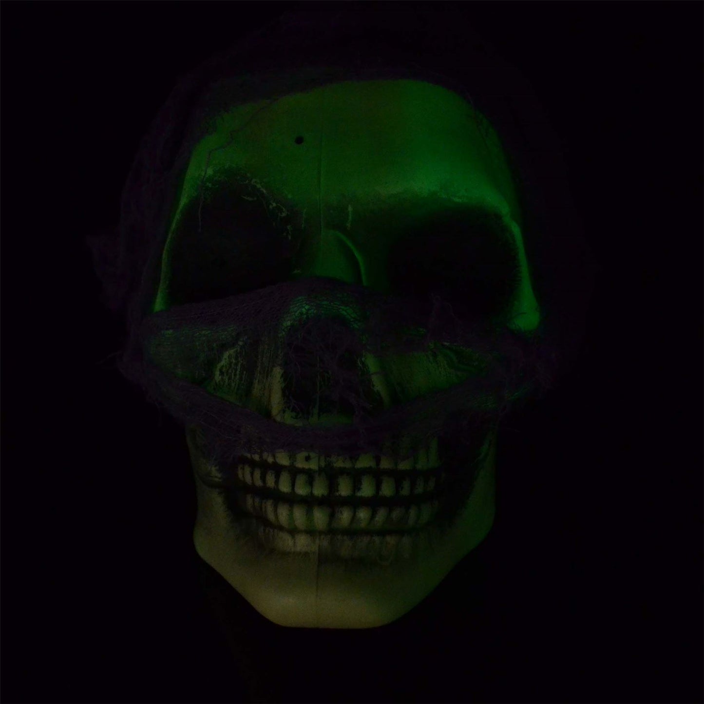 Halloween Hanging Skull D�cor
