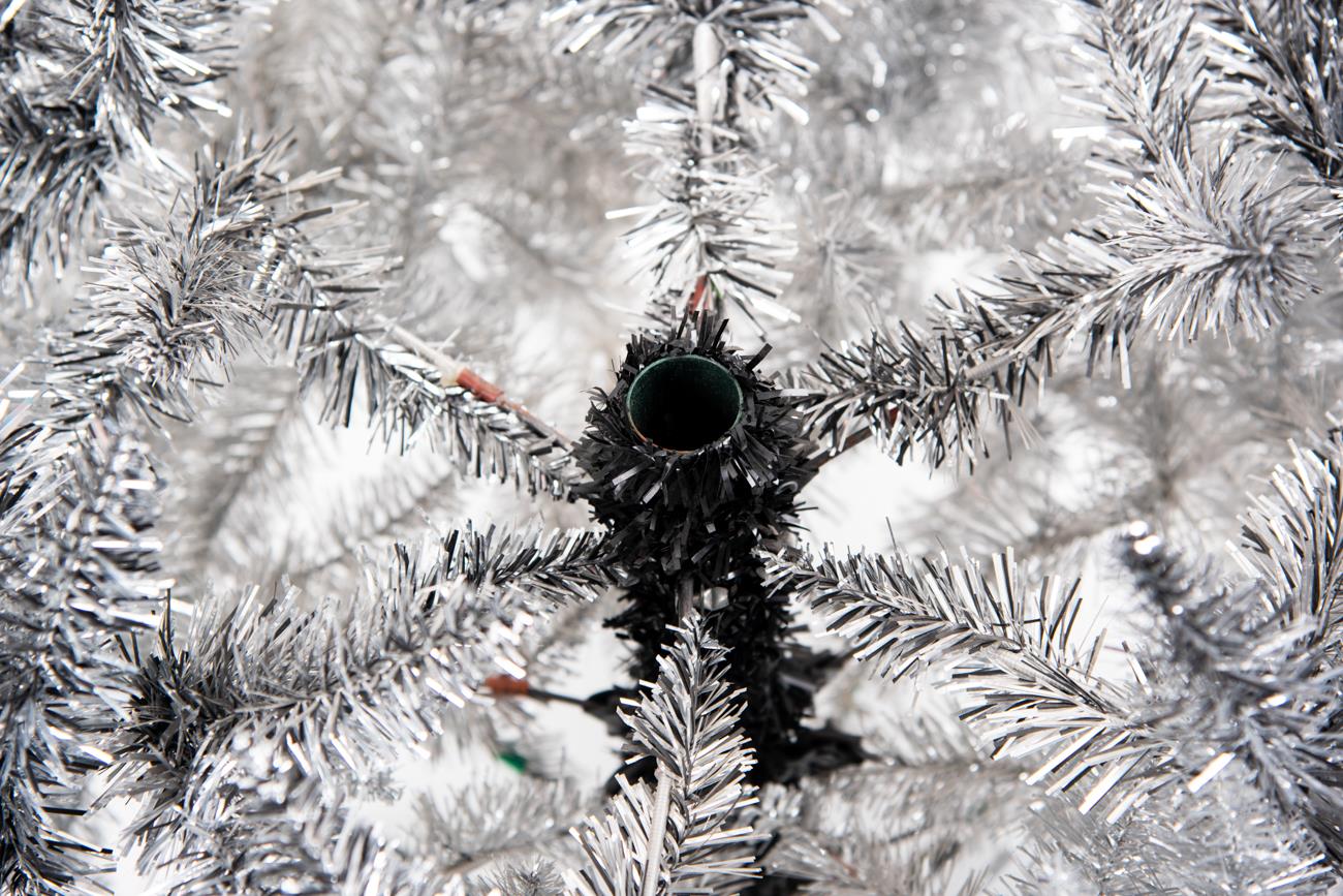 7ft Tasmanian Tri-Colour Tree - 210cm