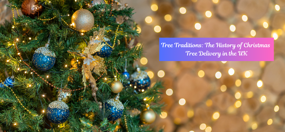 Tree Traditions: The History of Christmas Tree Delivery in the UK