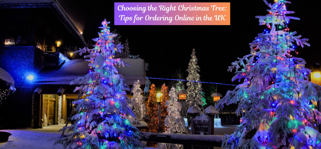 Choosing the Right Christmas Tree: Tips for Ordering Online in the UK