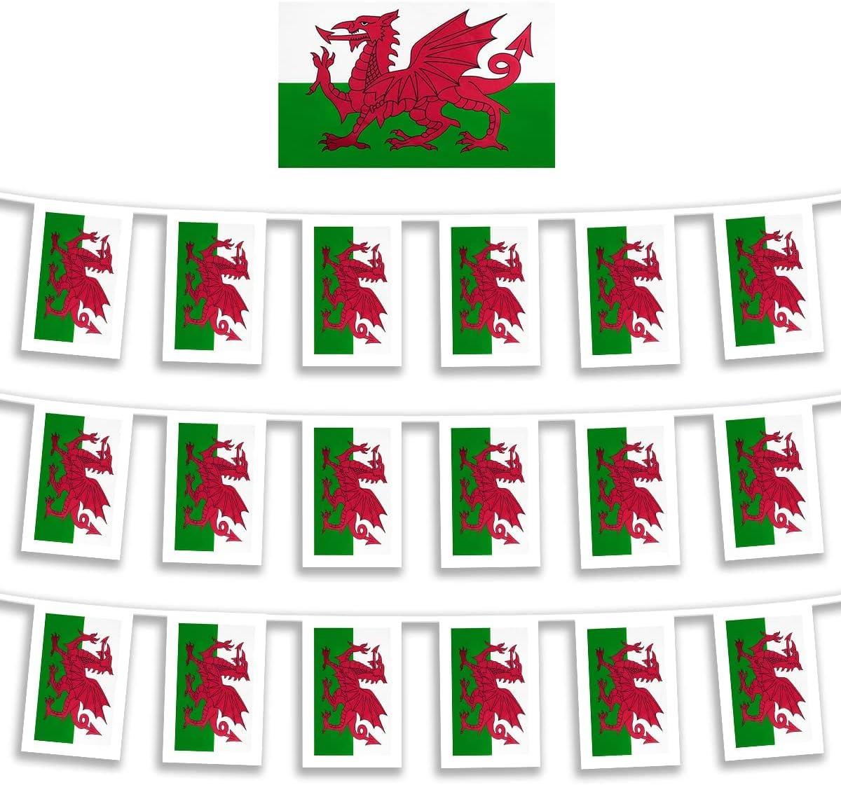 Welsh Bunting 20X30CM 10M 25Flags