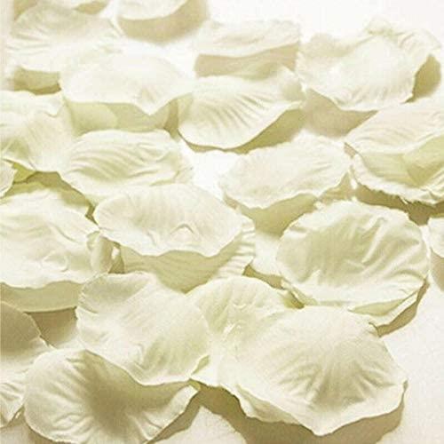 5000 Ivory Silk Rose Petals