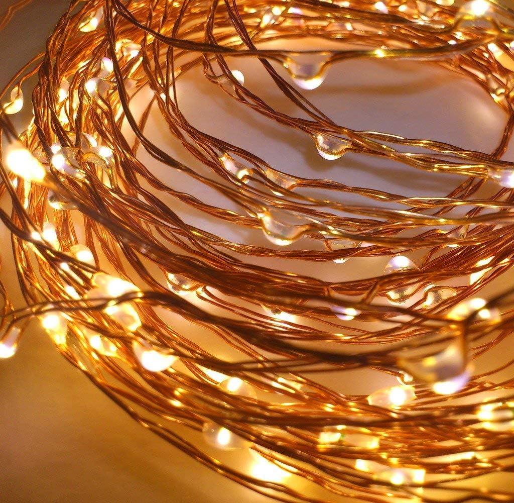 2 Packs of 20 Warm White LED Battery Lights (Gold Wire)