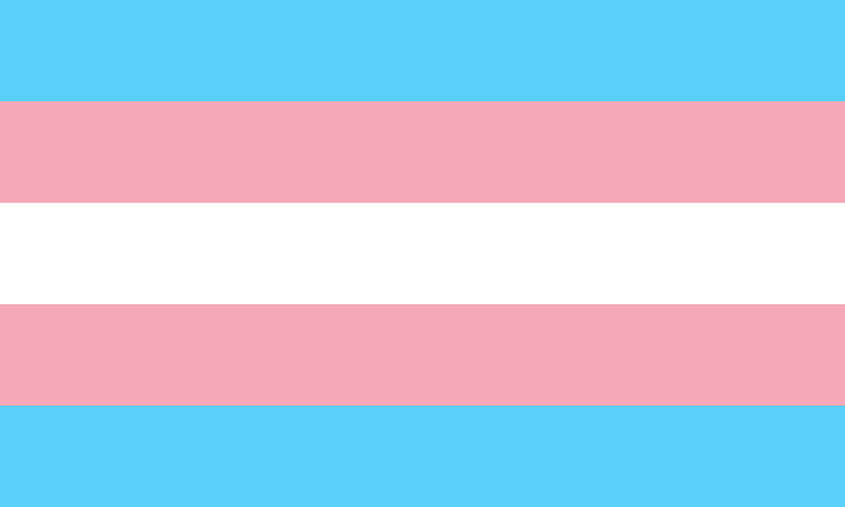 Transgender Pride Flag - 5x3ft Support Flag