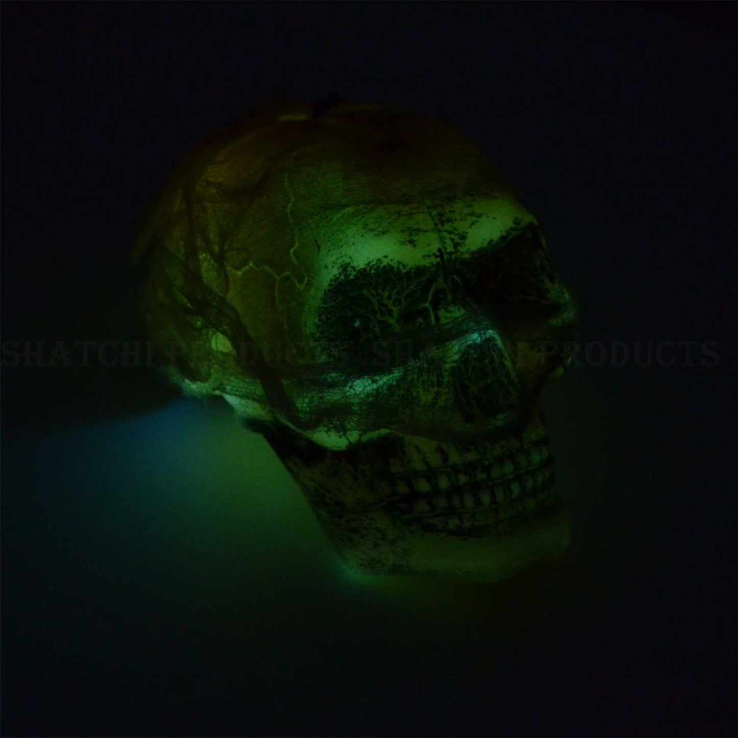 Halloween Hanging Skull Decor with Flashing LED Eyes