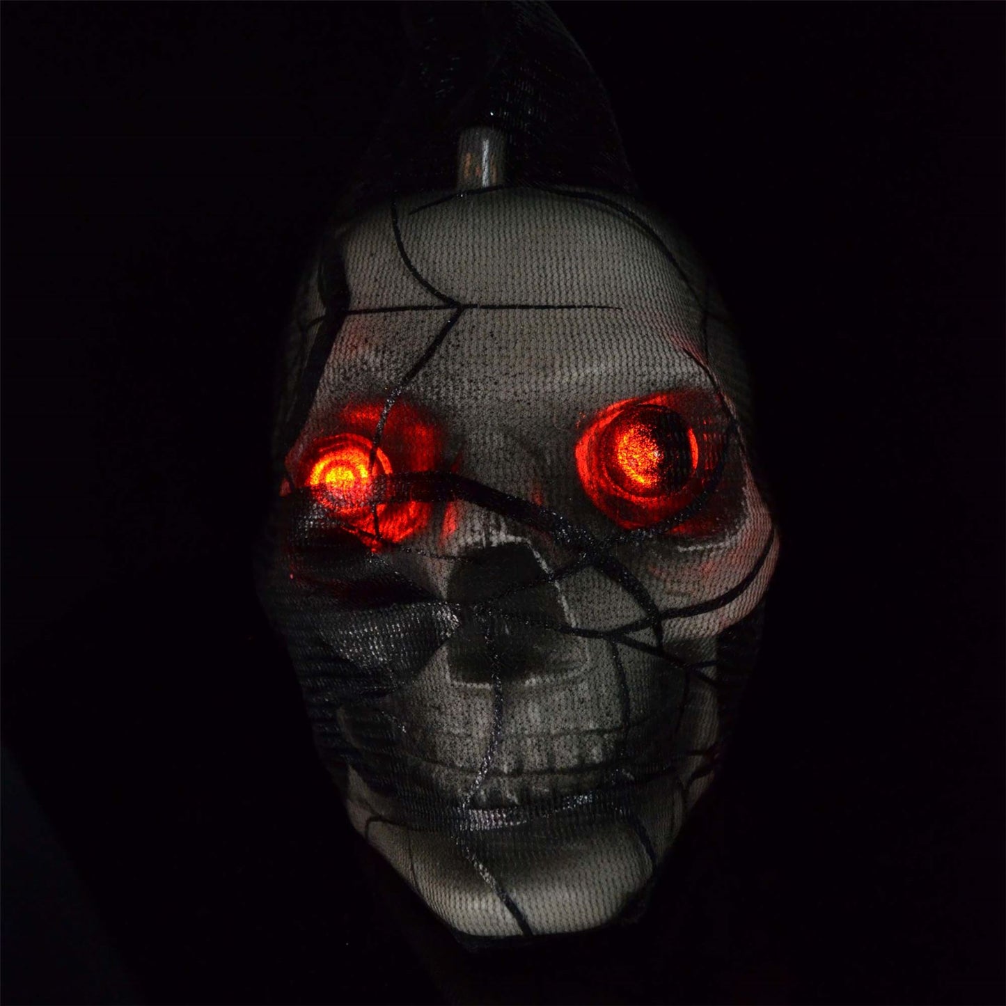 Halloween Spider Web with LED Skull