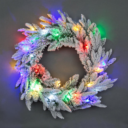 55cm Snow Flocked Wreath with LEDs