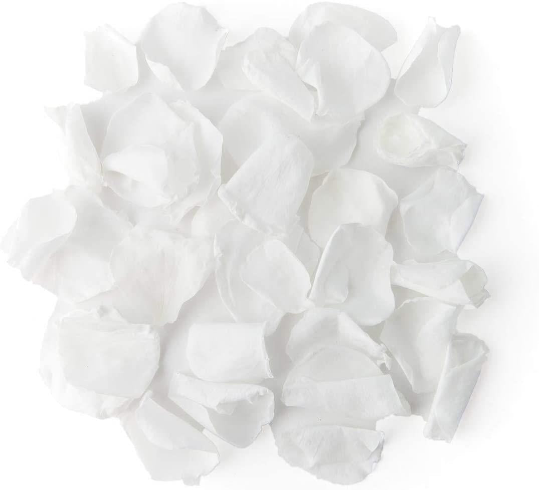 1000 Light White Quality Silk Rose Petals