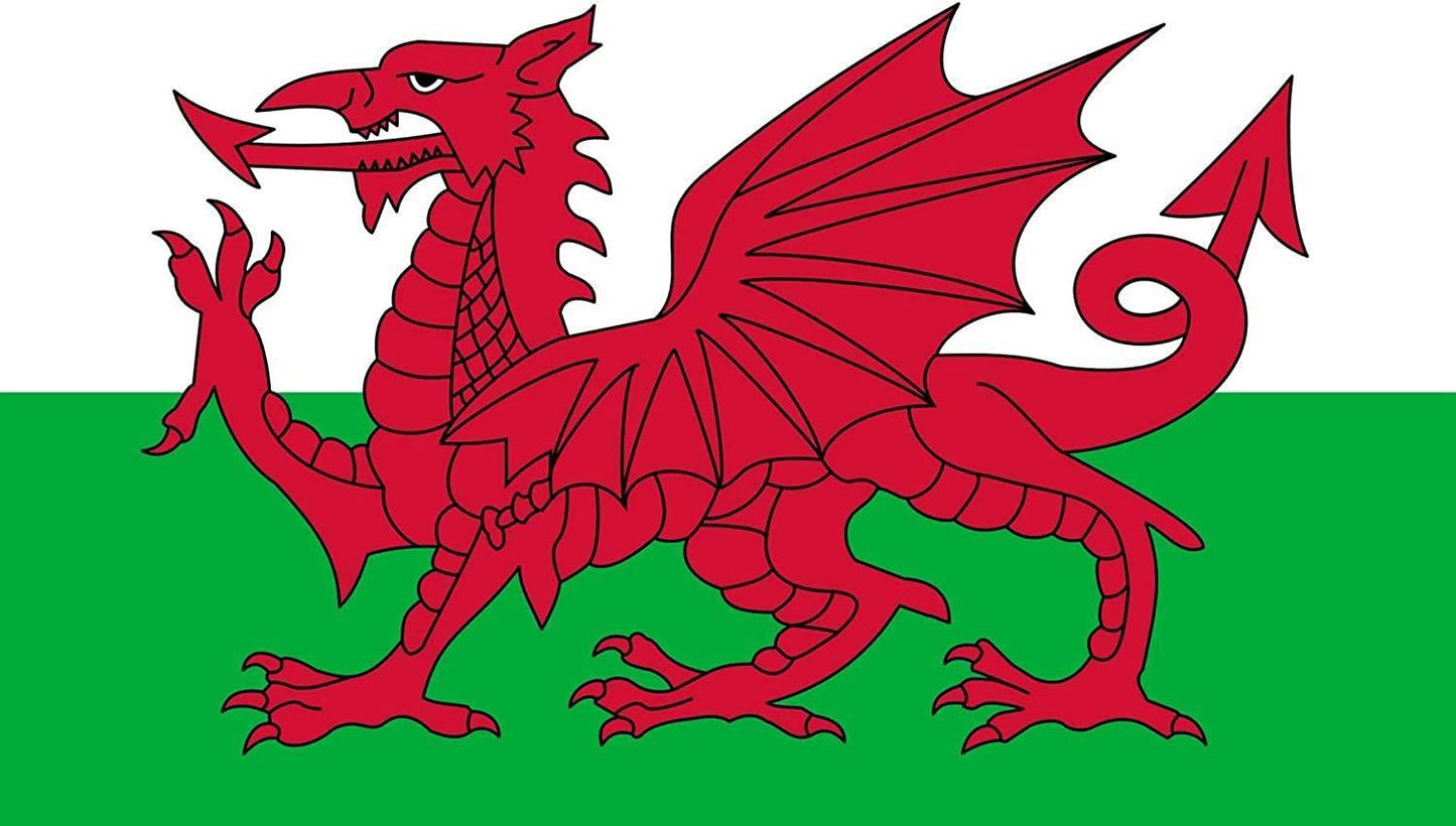 Welsh Flag - 8ft x 5ft with Eyelets