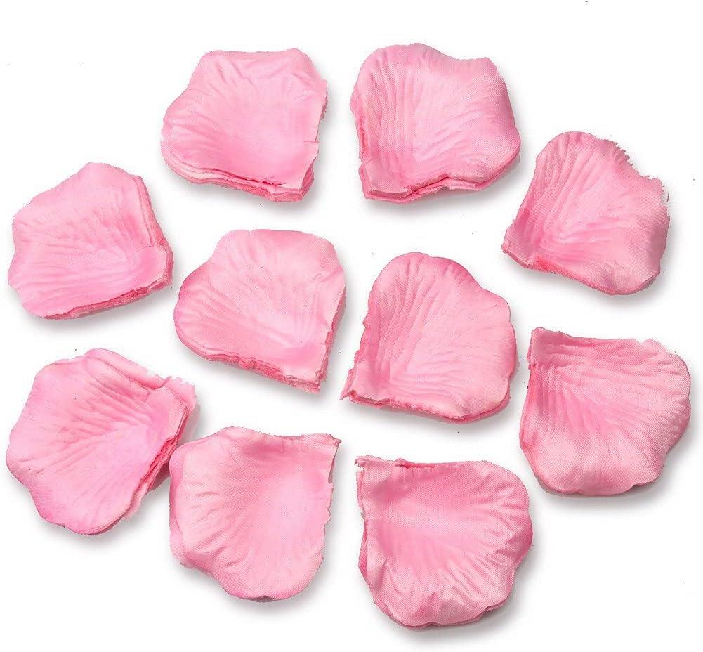 1000 Light Pink Silk Rose Petals