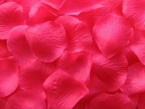 200 Hot Pink Rose Petals