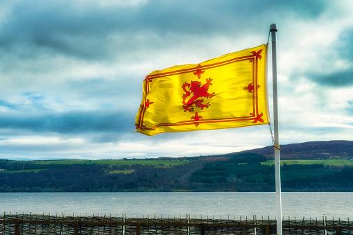 Scotland Rampant Lion Flag 5x3ft