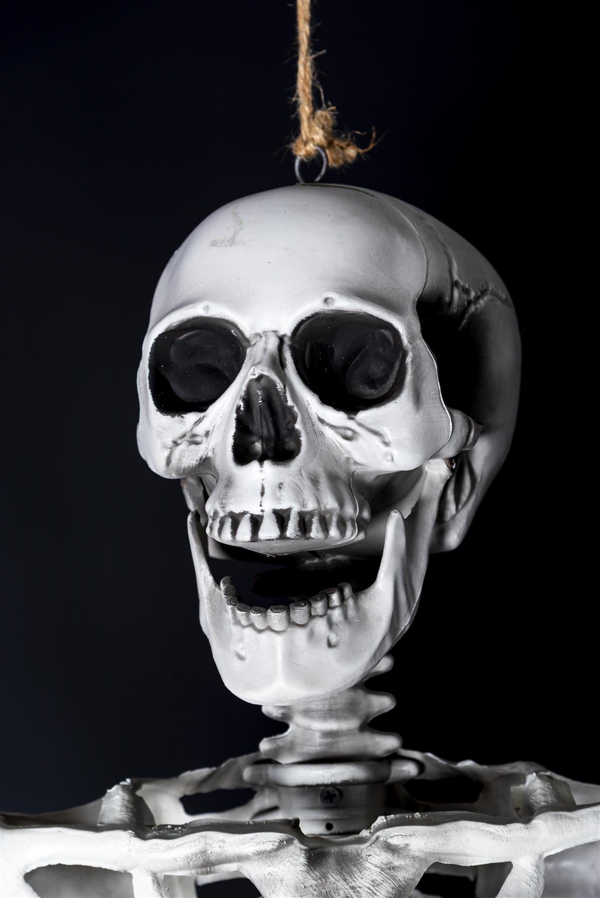 165cm Halloween Poseable Skeleton Decoration