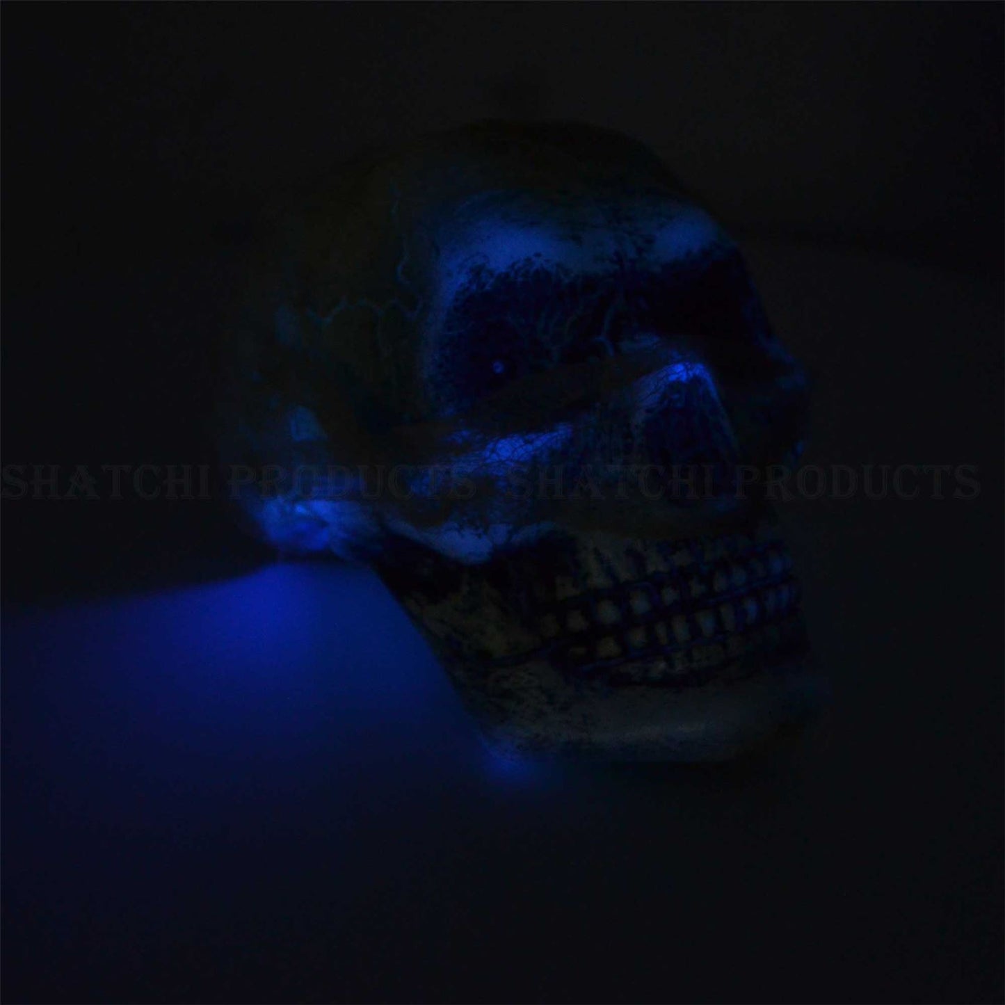 Halloween Hanging Skull Decor with Flashing LED Eyes