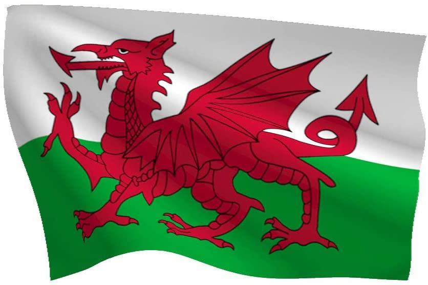 Welsh Flag - 8ft x 5ft with Eyelets