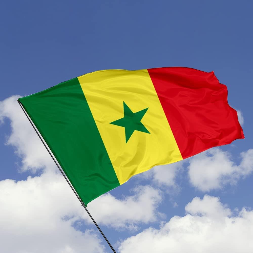 Senegal Flag 5x3ft With Eyelets