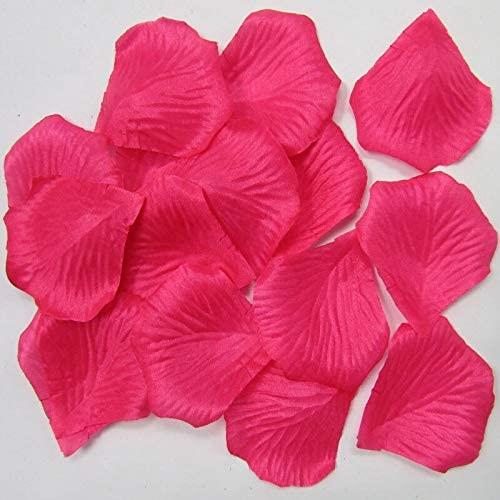 5000 Hot Pink Rose Petals