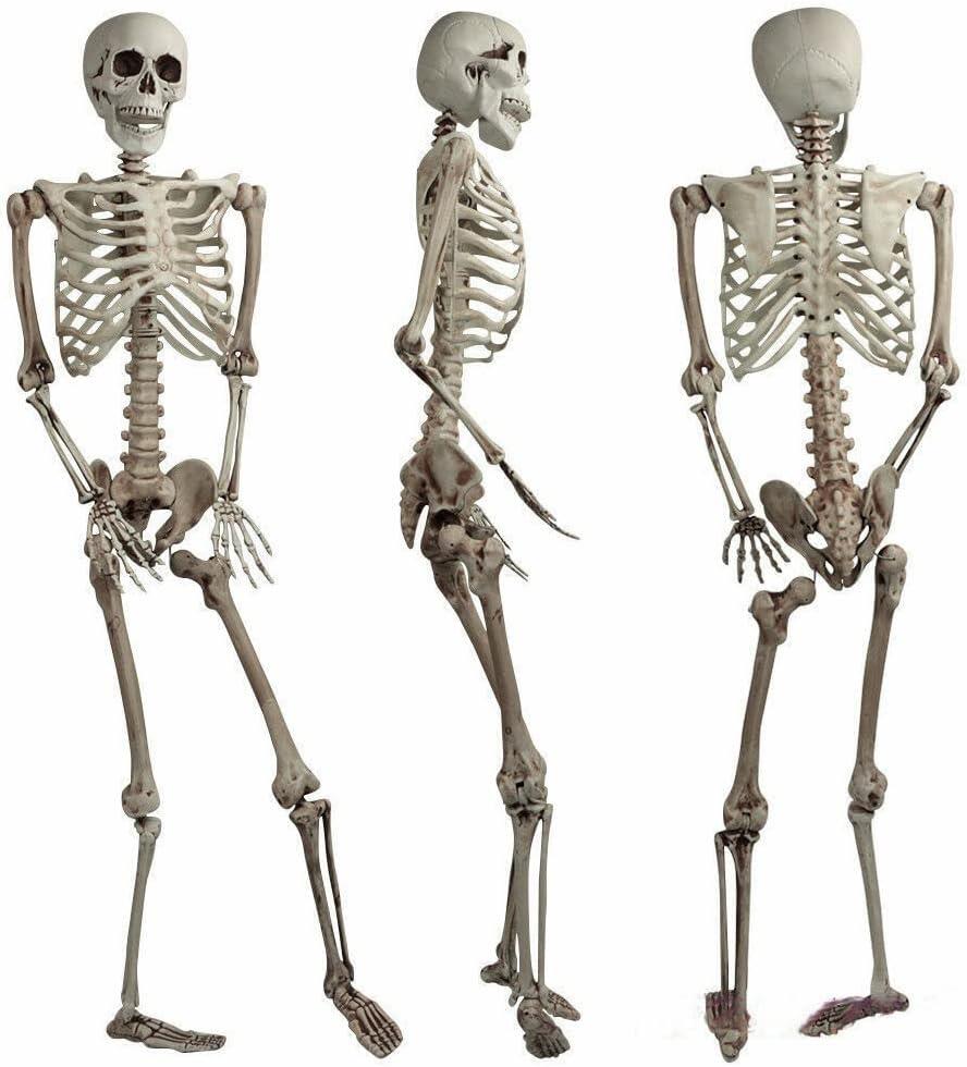 165cm Halloween Poseable Skeleton Decoration