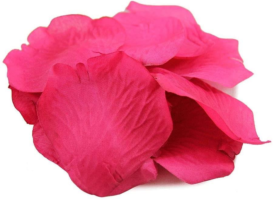 500 Hot Pink Rose Petals