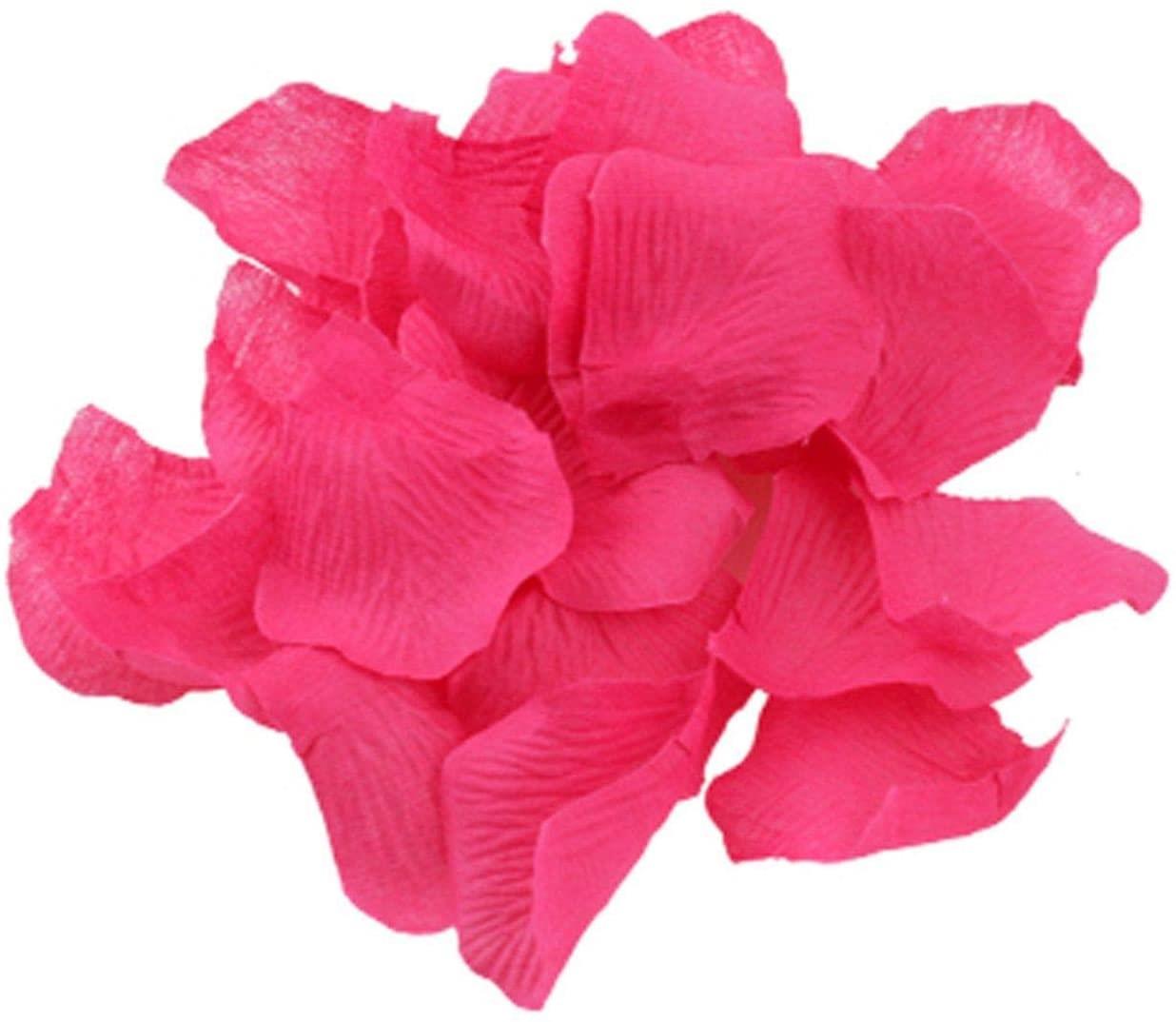 100 Hot Pink Silk Rose Petals