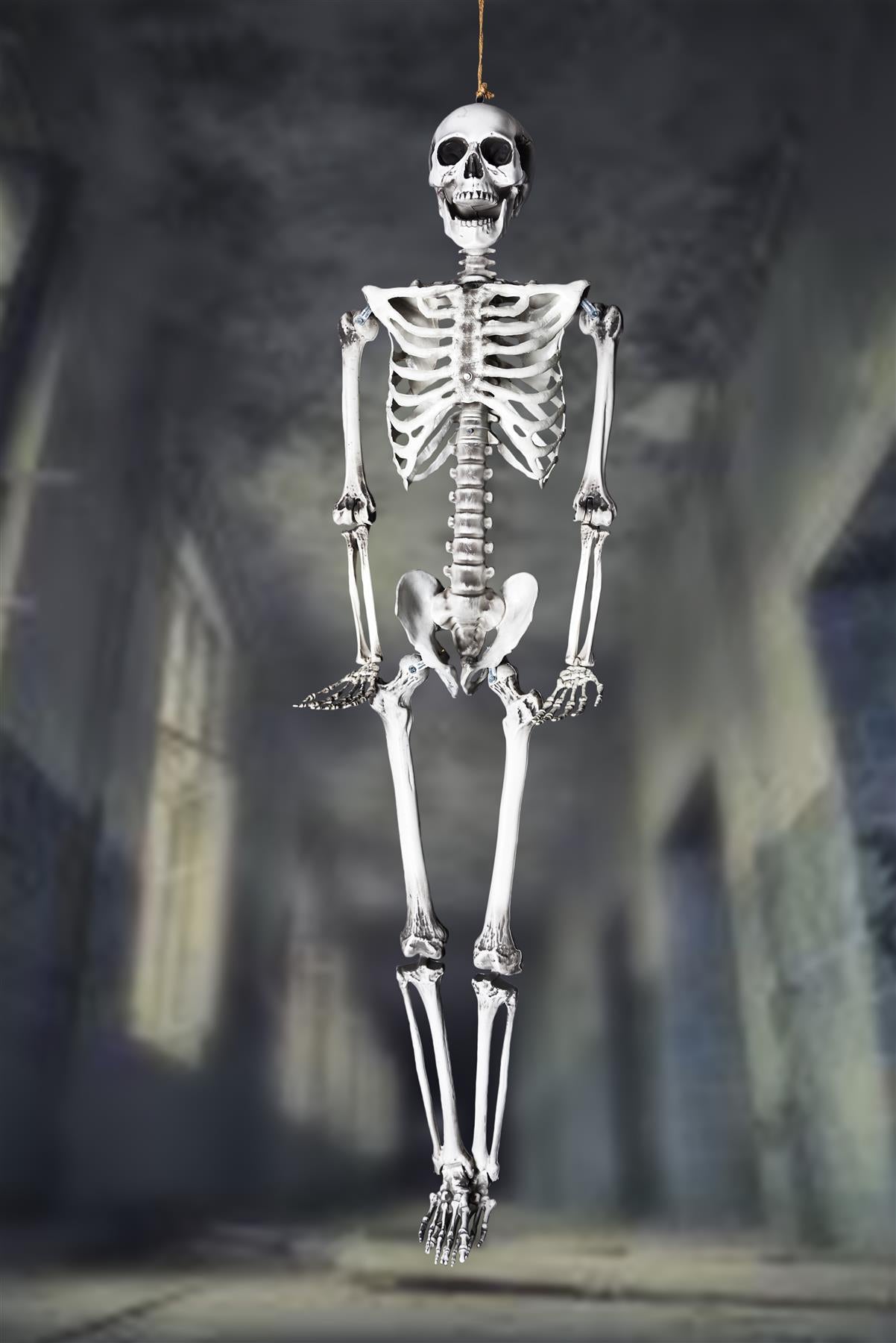 165cm Halloween Poseable Skeleton Decoration