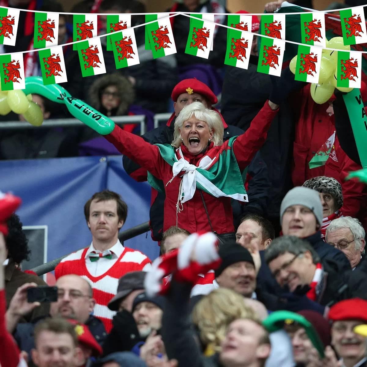 Welsh Bunting 20X30CM 10M 25Flags