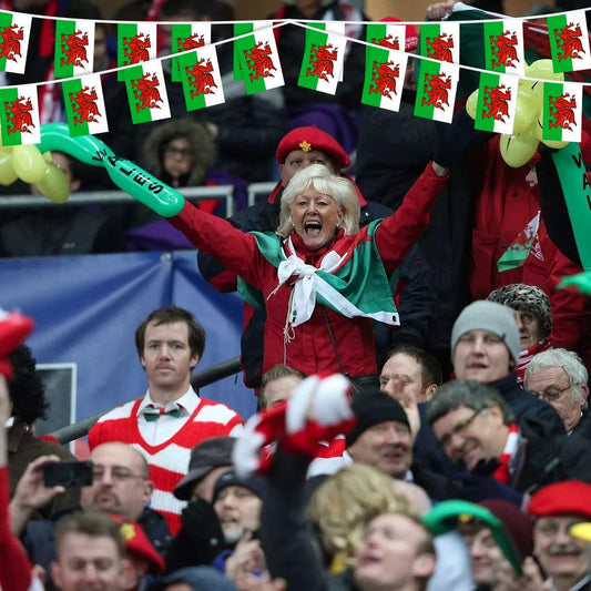 Welsh Bunting 20X30CM 10M 25Flags
