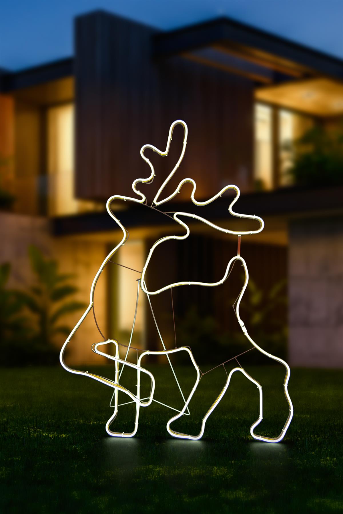 Walking Reindeer Rope Light (Cool White) 100 x 65cm