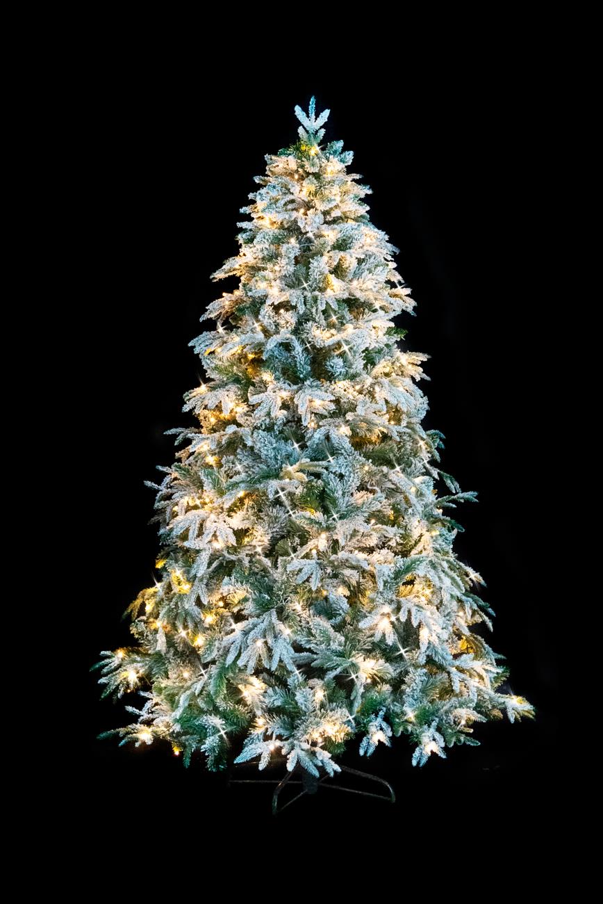 7ft Pre-Lit Lapland Snow Covered Christmas Tree