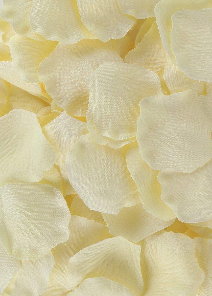 100 Ivory Rose Petals