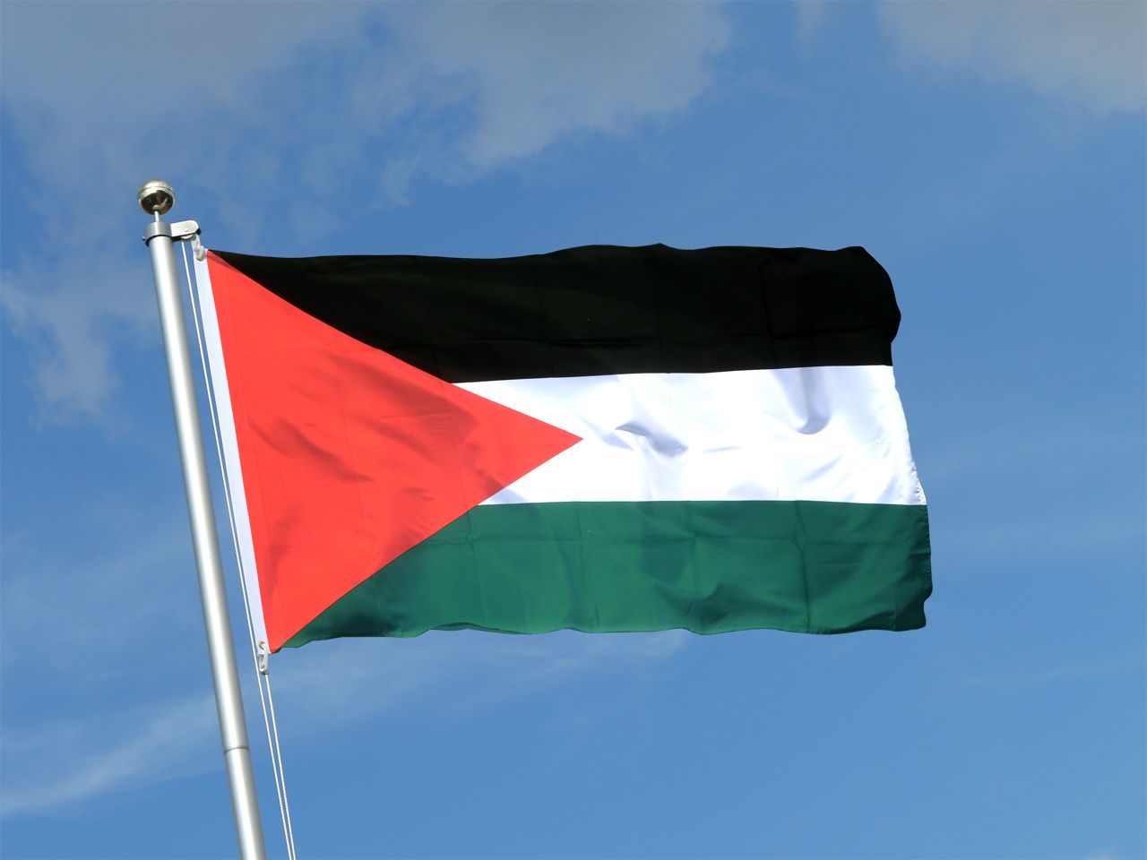 Palestine Flag 5x3ft With Eyelets